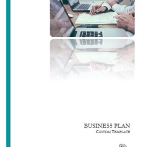 Auditing and Consulting Business Plan Business Plan Template